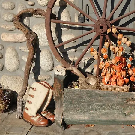 홈스테이 Chata Antka *