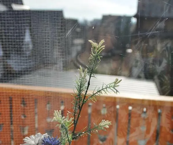 בית אירוח Chata Antka